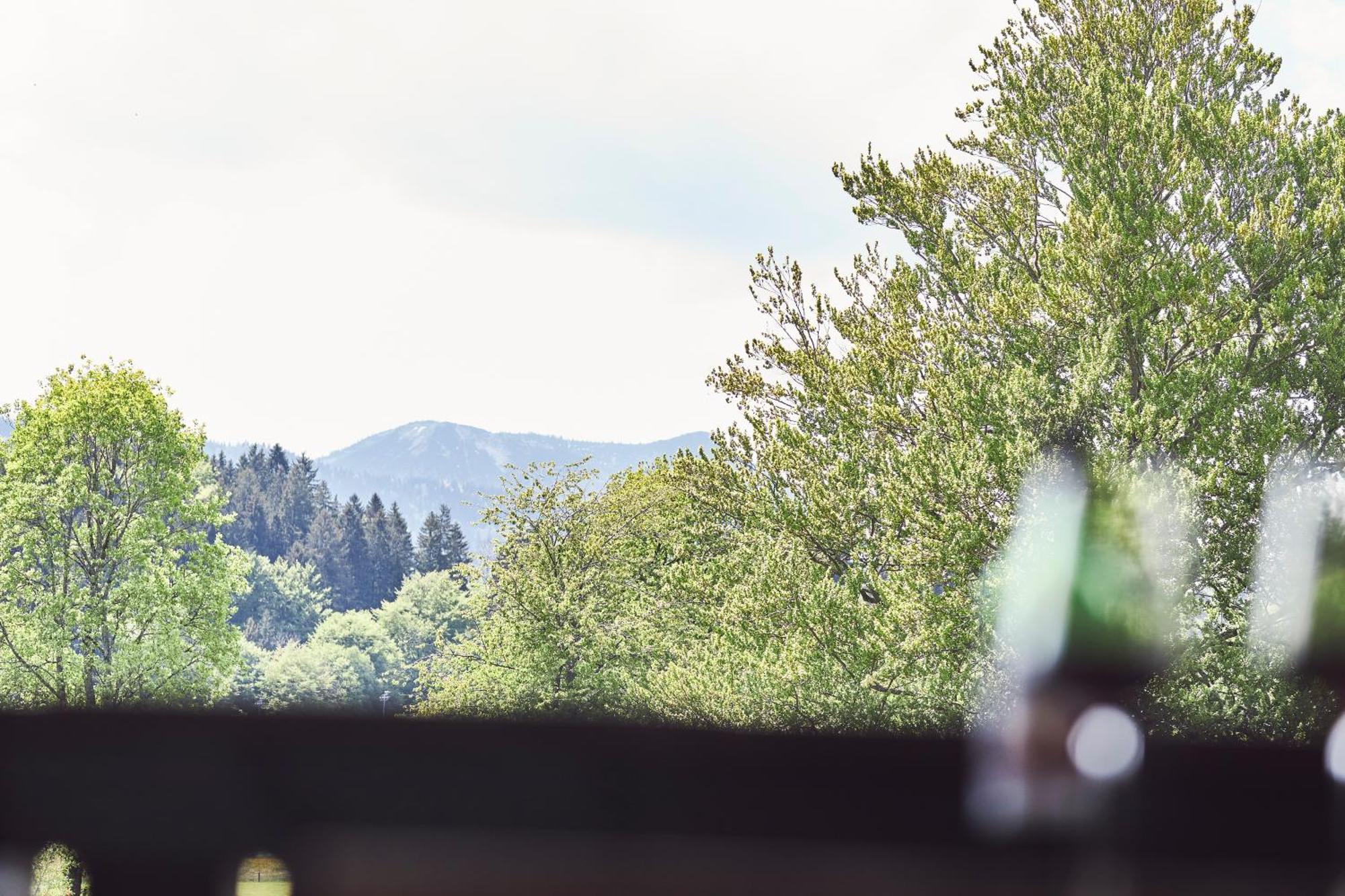 Apartment Sonnhof Tegernsee - Zentral Und Perfekt Fuer Urlaub & Arbeit Bad Wiessee